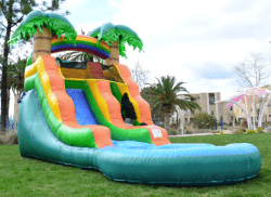 13ft palm tree water slide rental grand rapids mi 1767458634 13Ft Palm Tree Water Slide