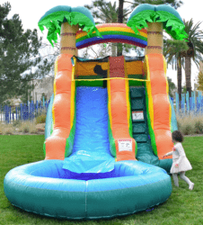 13ft palm tree water slide rental grand rapids 1767458634 13Ft Palm Tree Water Slide