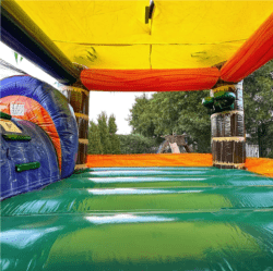 Palm Tree bounce house combo rentals grand rapids mi 1767468965 Palm Tree Bounce House with Water Slide